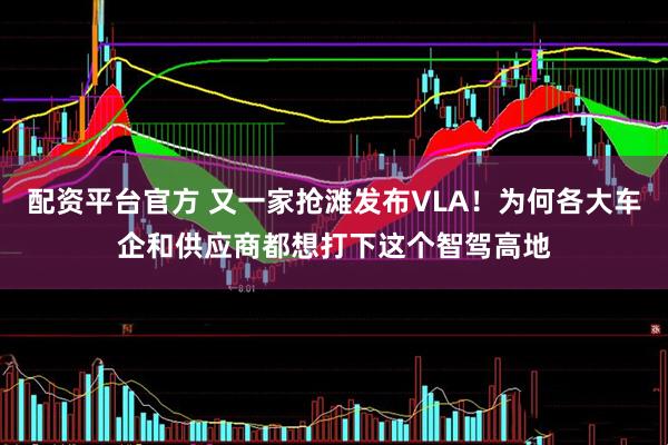 配资平台官方 又一家抢滩发布VLA！为何各大车企和供应商都想打下这个智驾高地