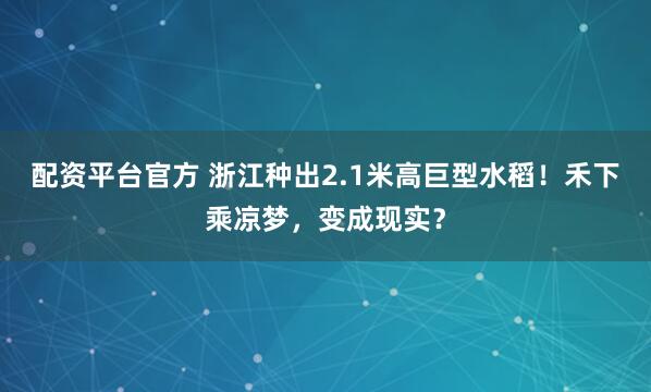 配资平台官方 浙江种出2.1米高巨型水稻！禾下乘凉梦，变成现实？