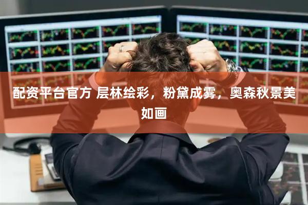 配资平台官方 层林绘彩，粉黛成雾，奥森秋景美如画