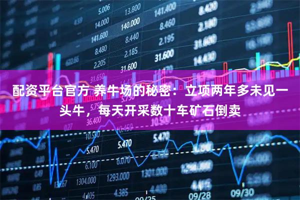 配资平台官方 养牛场的秘密：立项两年多未见一头牛，每天开采数十车矿石倒卖