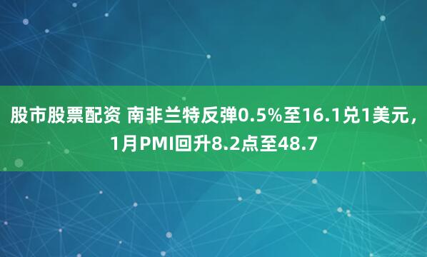股市股票配资 南非兰特反弹0.5%至16.1兑1美元，1月PMI回升8.2点至48.7