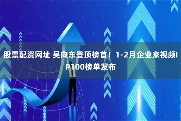 股票配资网址 吴向东登顶榜首！1-2月企业家视频IP100榜单发布