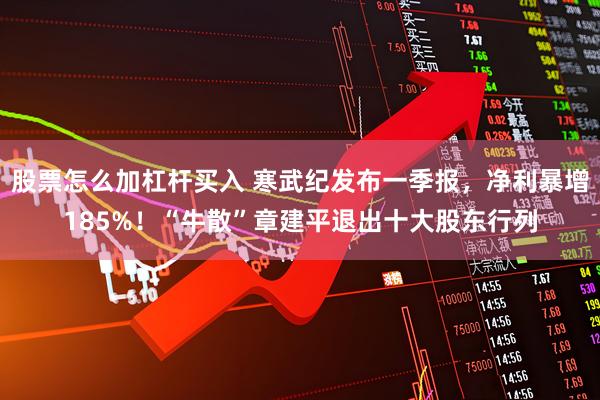 股票怎么加杠杆买入 寒武纪发布一季报，净利暴增185%！“牛散”章建平退出十大股东行列